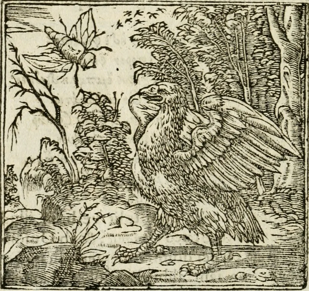 An illustration from Francisci Sanctii Brocensis in inclyta Salmaticensi Academia rhetoricae Graecaeque linguae professoris Comment. in And. Alciati emblemata : nunc denuo multis in locis accurate recognita, & quamplurimis figuris illustrata : cum indice copiosissimo, 1573, leaf 471