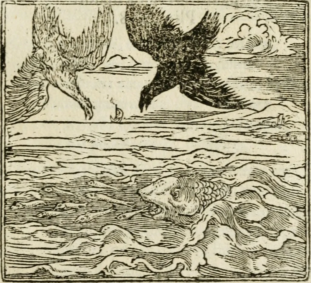An illustration from Francisci Sanctii Brocensis in inclyta Salmaticensi Academia rhetoricae Graecaeque linguae professoris Comment. in And. Alciati emblemata : nunc denuo multis in locis accurate recognita, & quamplurimis figuris illustrata : cum indice copiosissimo, 1573, leaf 472