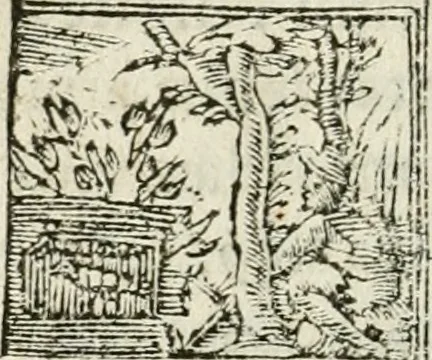 An illustration from Francisci Sanctii Brocensis in inclyta Salmaticensi Academia rhetoricae Graecaeque linguae professoris Comment. in And. Alciati emblemata : nunc denuo multis in locis accurate recognita, & quamplurimis figuris illustrata : cum indice copiosissimo, 1573, leaf 513