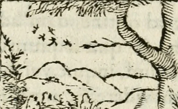 An illustration from Francisci Sanctii Brocensis in inclyta Salmaticensi Academia rhetoricae Graecaeque linguae professoris Comment. in And. Alciati emblemata : nunc denuo multis in locis accurate recognita, & quamplurimis figuris illustrata : cum indice copiosissimo, 1573, leaf 523