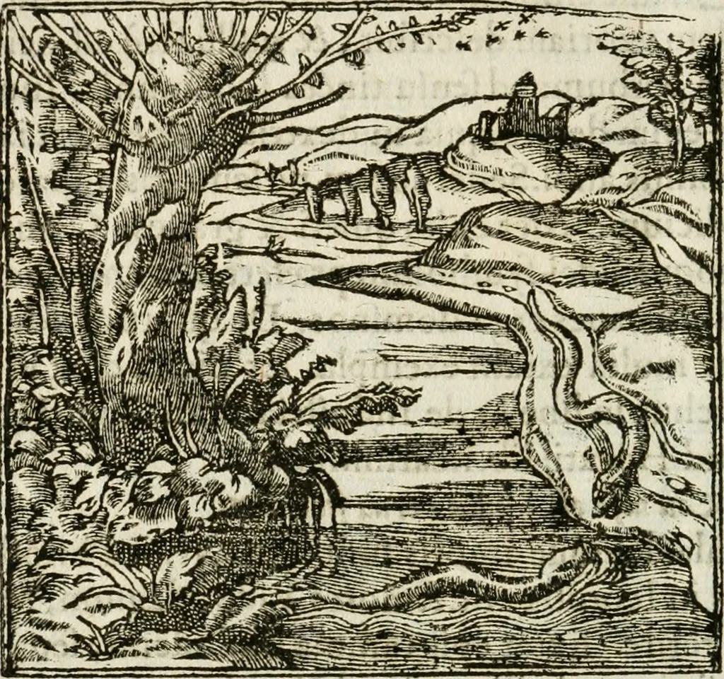 An illustration from Francisci Sanctii Brocensis in inclyta Salmaticensi Academia rhetoricae Graecaeque linguae professoris Comment. in And. Alciati emblemata : nunc denuo multis in locis accurate recognita, & quamplurimis figuris illustrata : cum indice copiosissimo, 1573, leaf 527