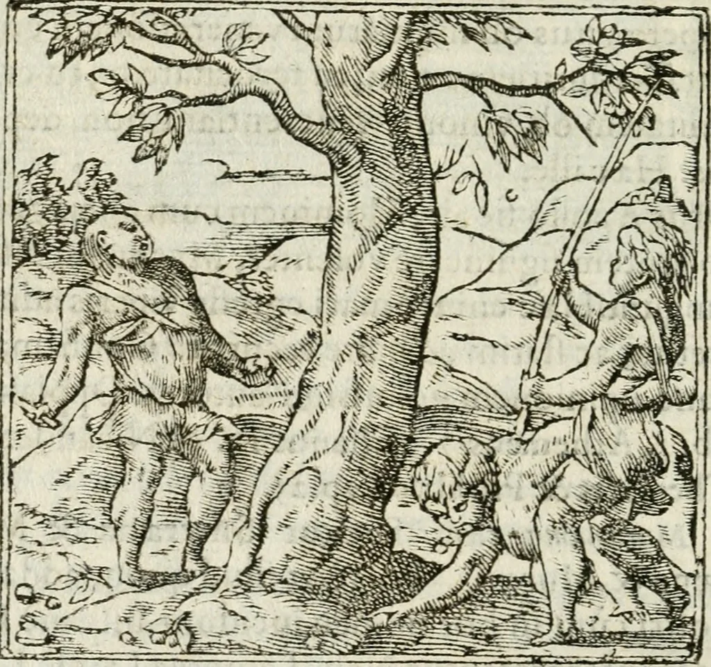 An illustration from Francisci Sanctii Brocensis in inclyta Salmaticensi Academia rhetoricae Graecaeque linguae professoris Comment. in And. Alciati emblemata : nunc denuo multis in locis accurate recognita, & quamplurimis figuris illustrata : cum indice copiosissimo, 1573, leaf 529