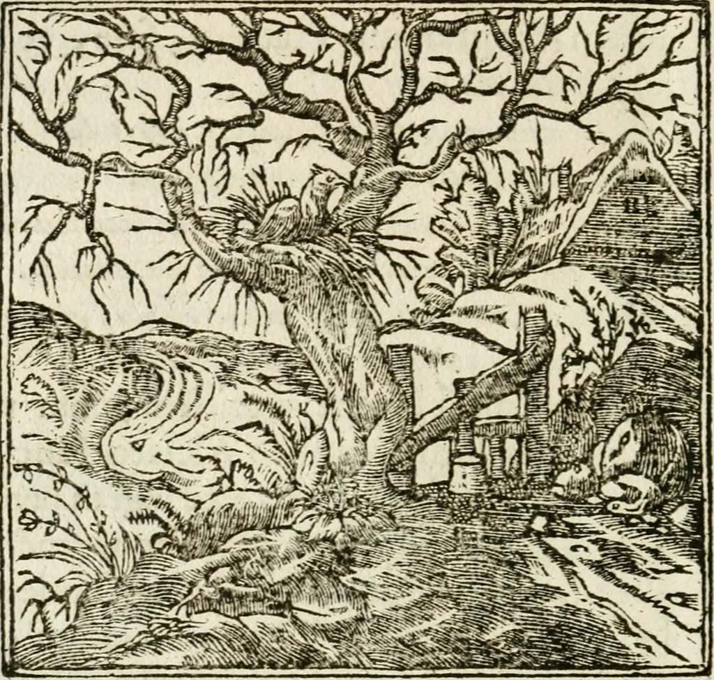 An illustration from Francisci Sanctii Brocensis in inclyta Salmaticensi Academia rhetoricae Graecaeque linguae professoris Comment. in And. Alciati emblemata : nunc denuo multis in locis accurate recognita, & quamplurimis figuris illustrata : cum indice copiosissimo, 1573, leaf 531