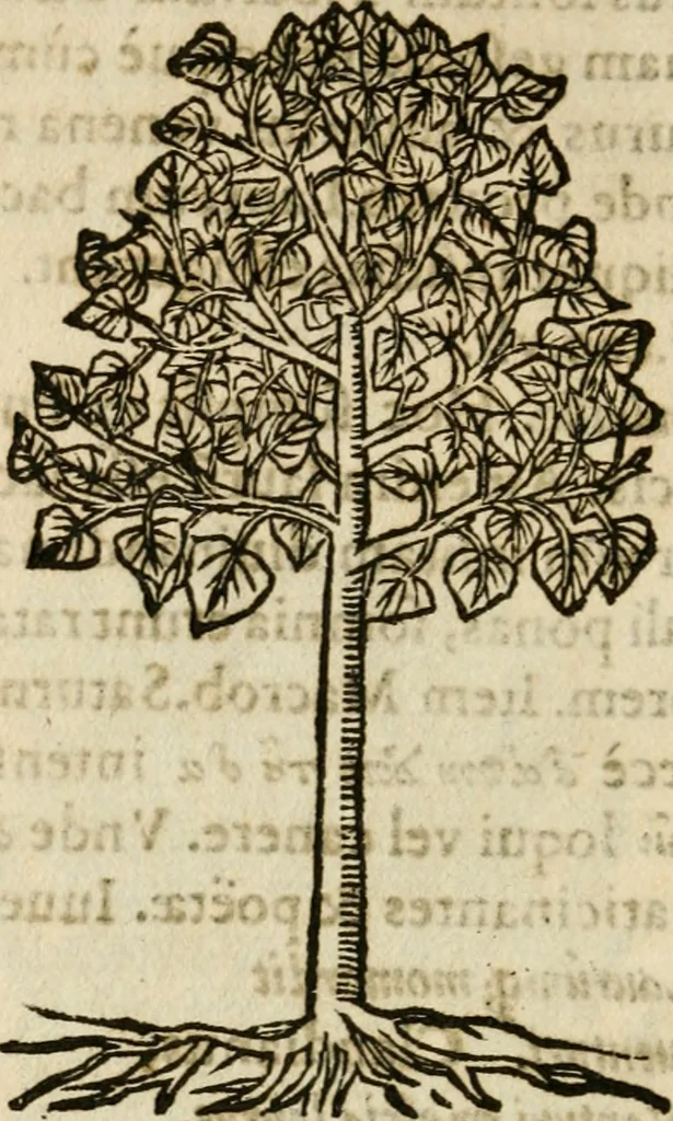 An illustration from Francisci Sanctii Brocensis in inclyta Salmaticensi Academia rhetoricae Graecaeque linguae professoris Comment. in And. Alciati emblemata : nunc denuo multis in locis accurate recognita, & quamplurimis figuris illustrata : cum indice copiosissimo, 1573, leaf 559