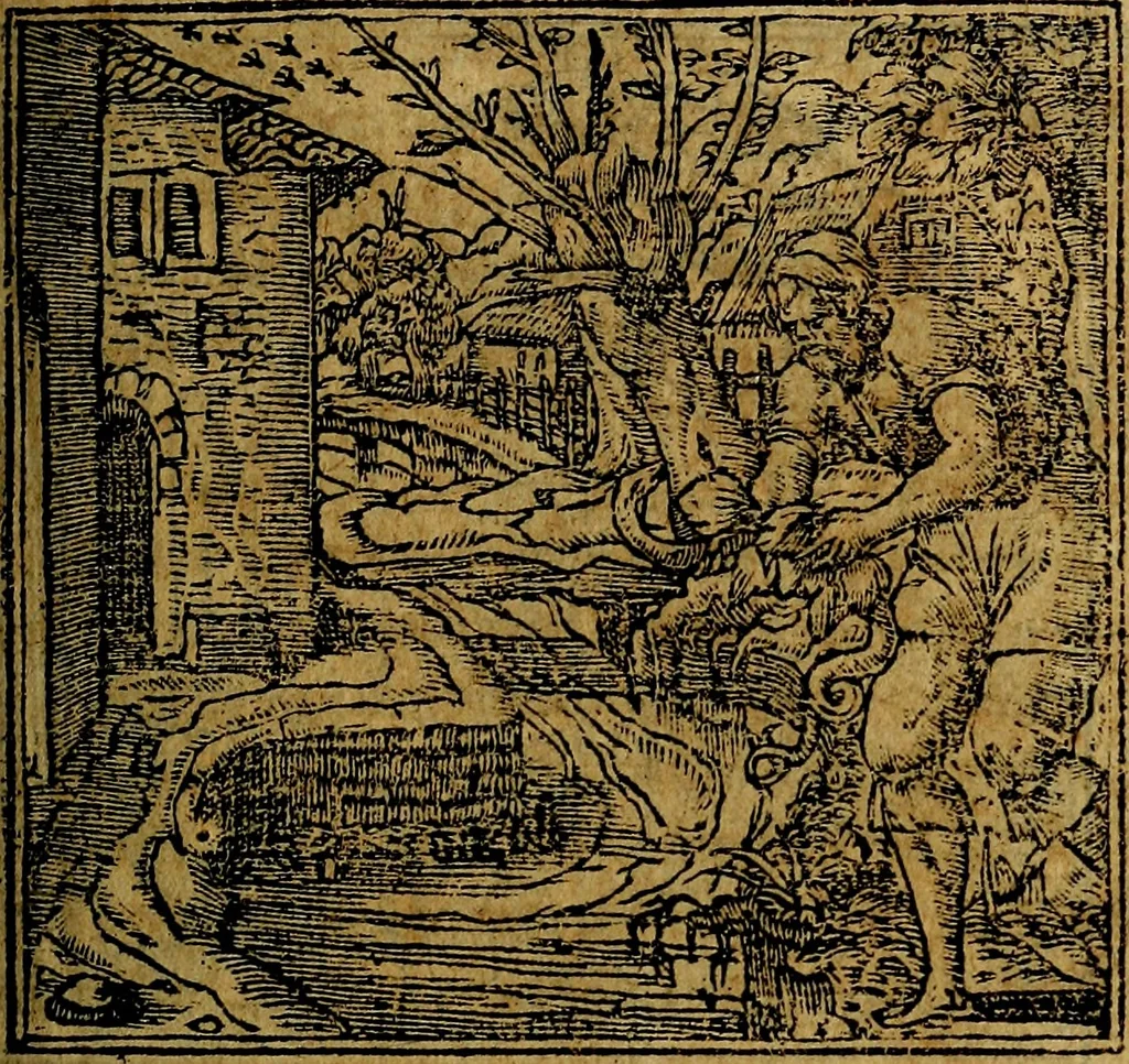 An illustration from Francisci Sanctii Brocensis .., 1573, leaf 102