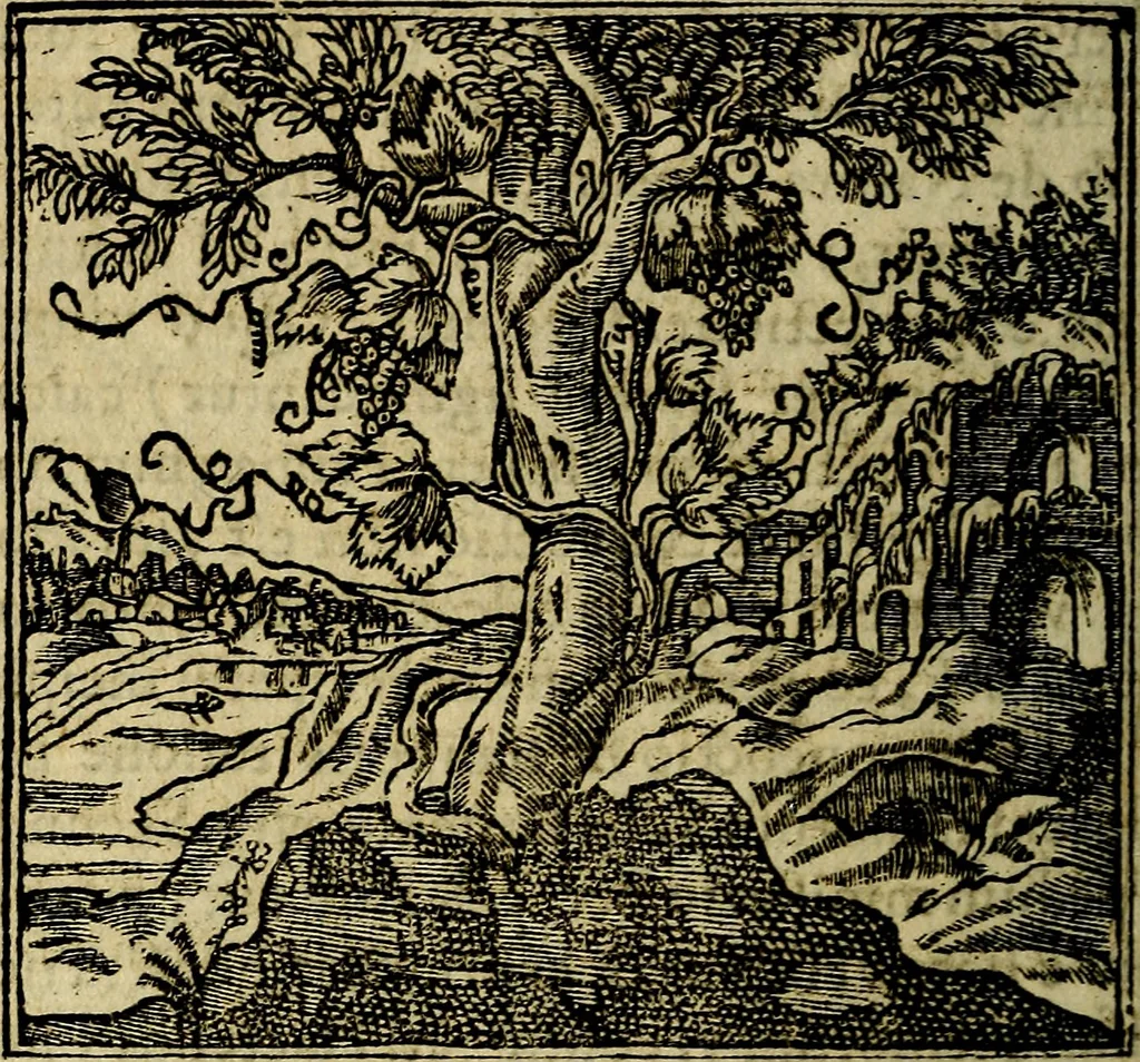 An illustration from Francisci Sanctii Brocensis .., 1573, leaf 109