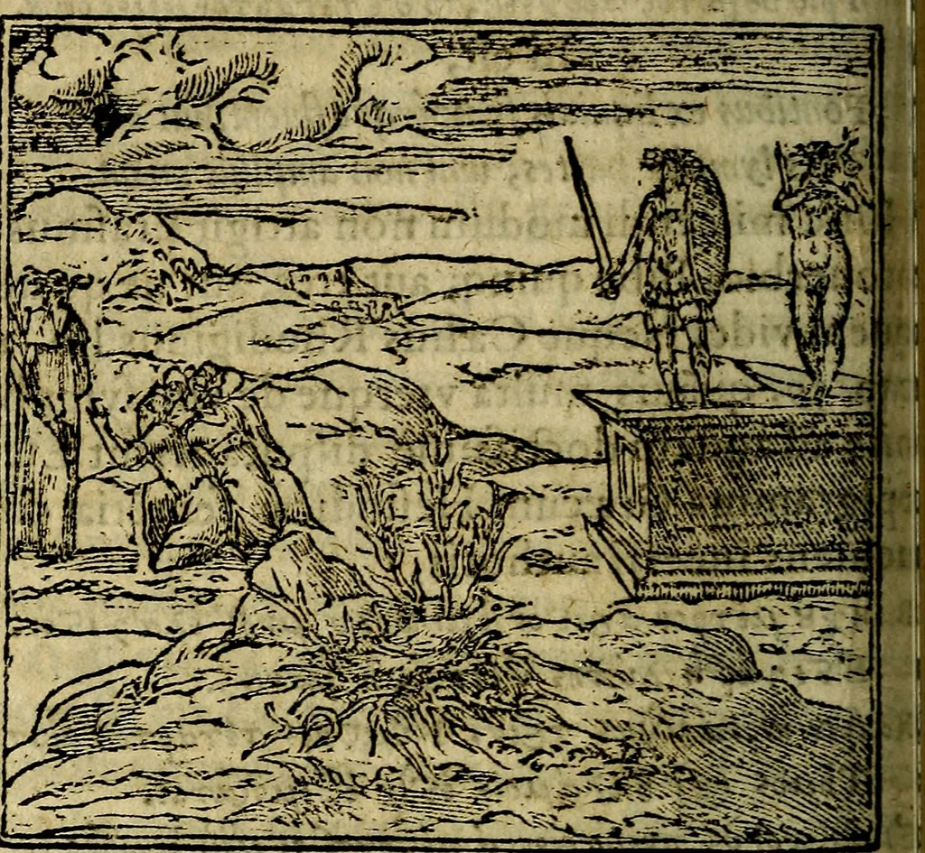 An illustration from Francisci Sanctii Brocensis .., 1573, leaf 119
