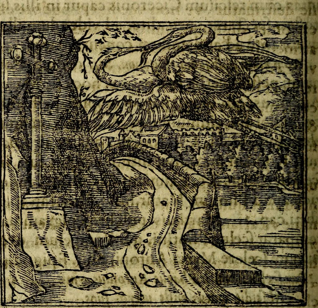An illustration from Francisci Sanctii Brocensis .., 1573, leaf 137