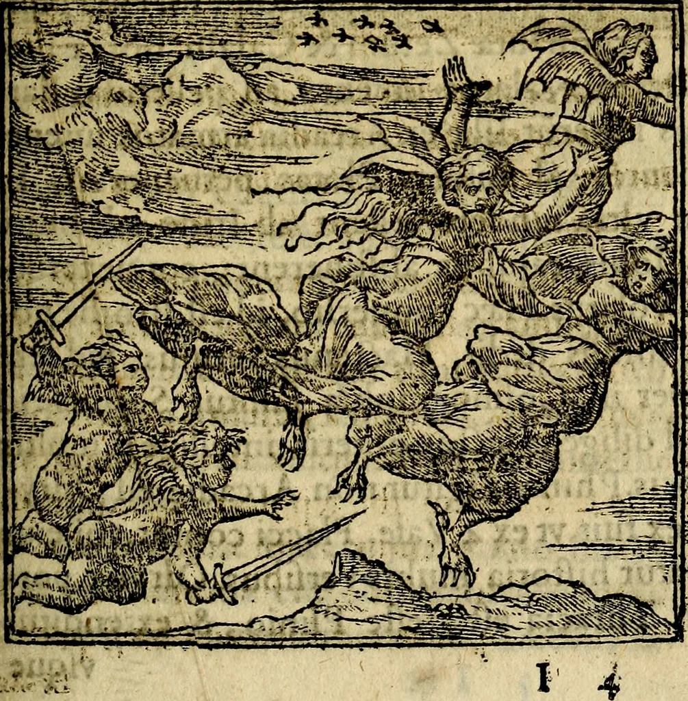 An illustration from Francisci Sanctii Brocensis .., 1573, leaf 142