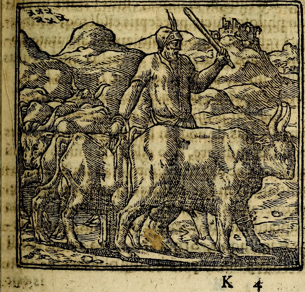 An illustration from Francisci Sanctii Brocensis .., 1573, leaf 158