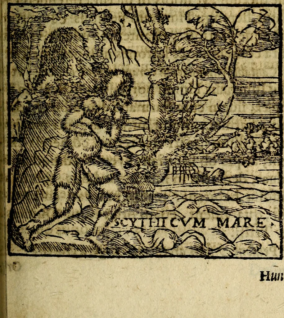An illustration from Francisci Sanctii Brocensis .., 1573, leaf 164