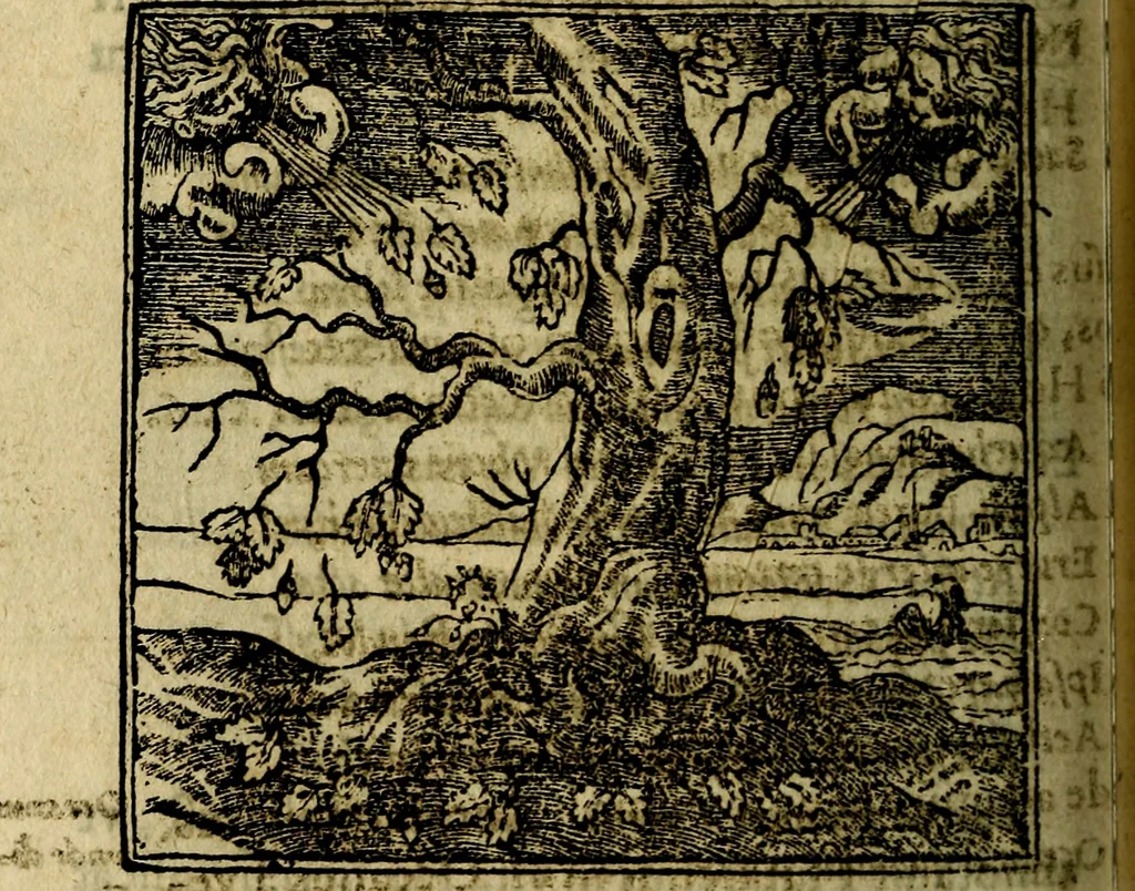 An illustration from Francisci Sanctii Brocensis .., 1573, leaf 175