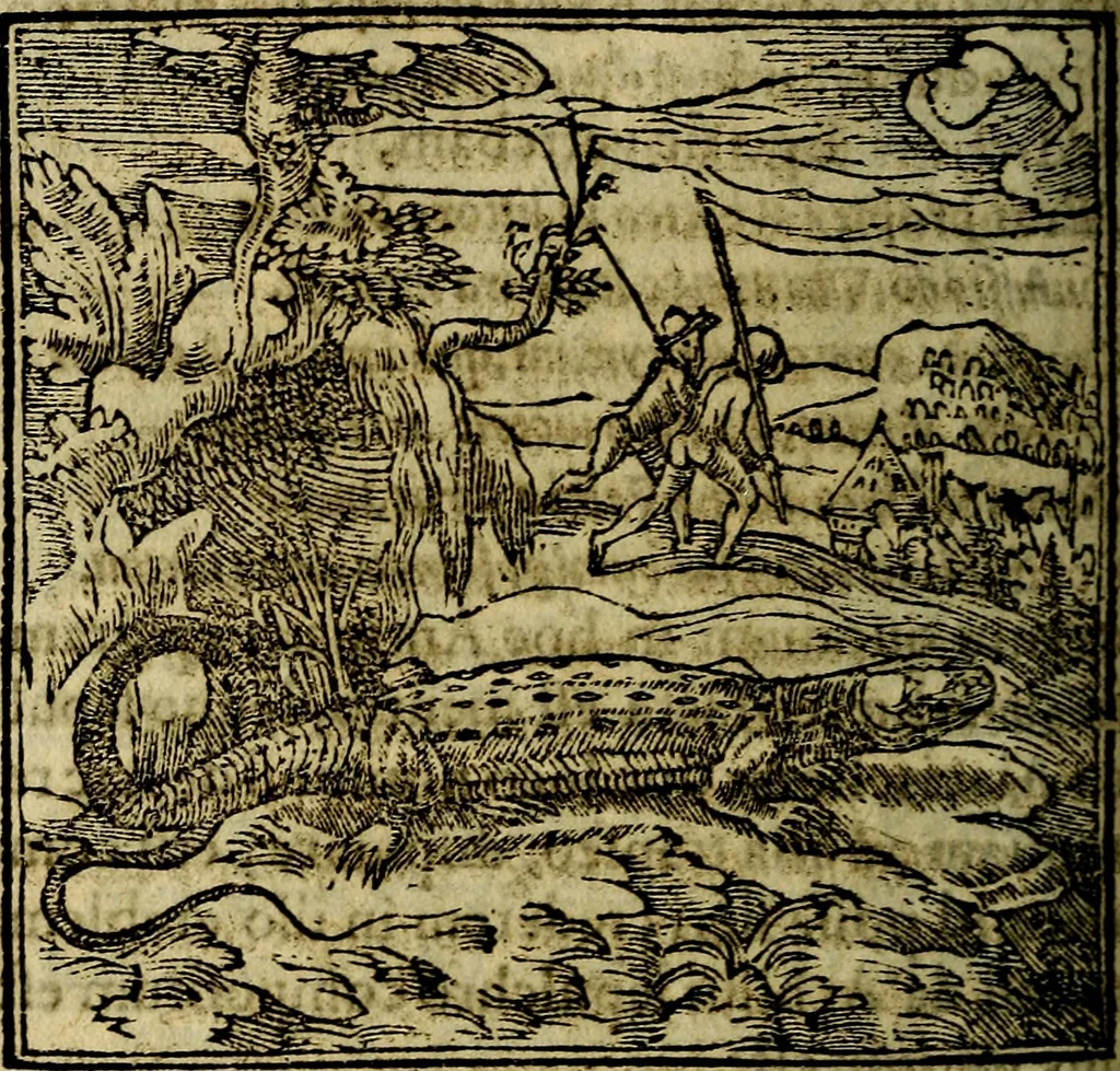 An illustration from Francisci Sanctii Brocensis .., 1573, leaf 195