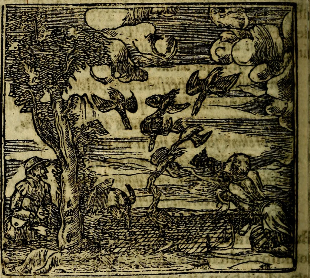 An illustration from Francisci Sanctii Brocensis .., 1573, leaf 197