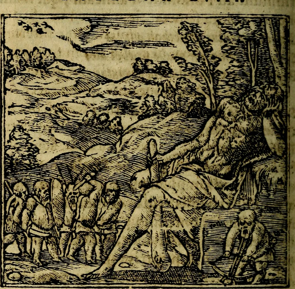 An illustration from Francisci Sanctii Brocensis .., 1573, leaf 213