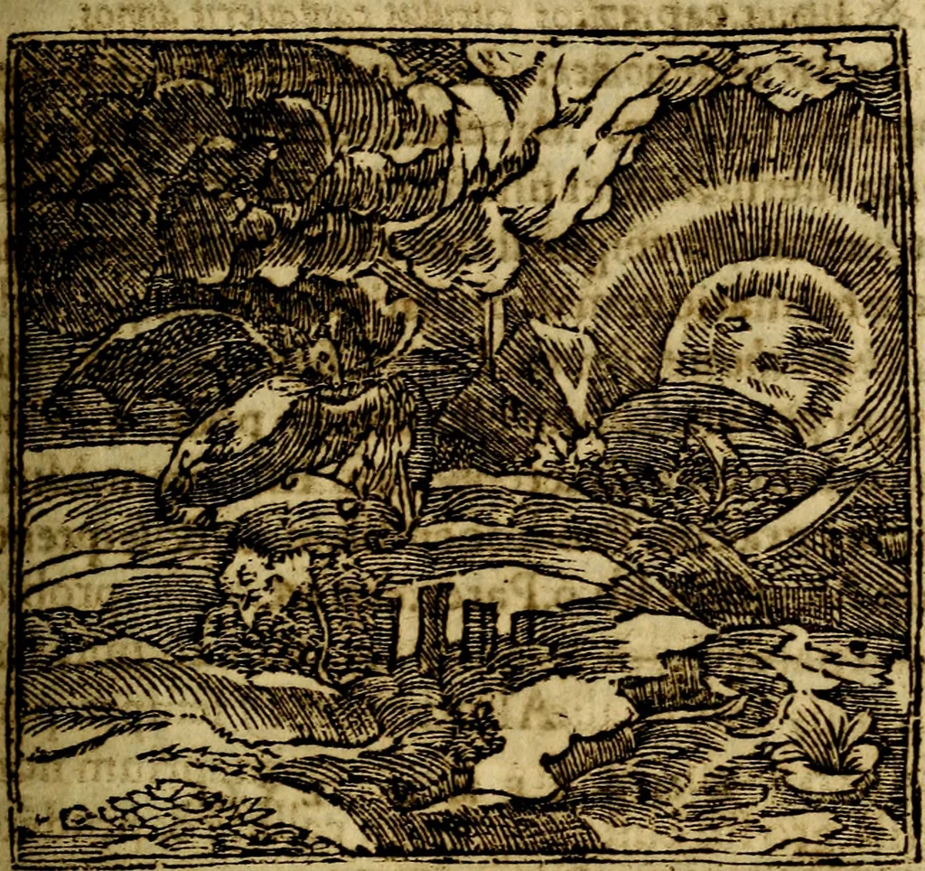 An illustration from Francisci Sanctii Brocensis .., 1573, leaf 220