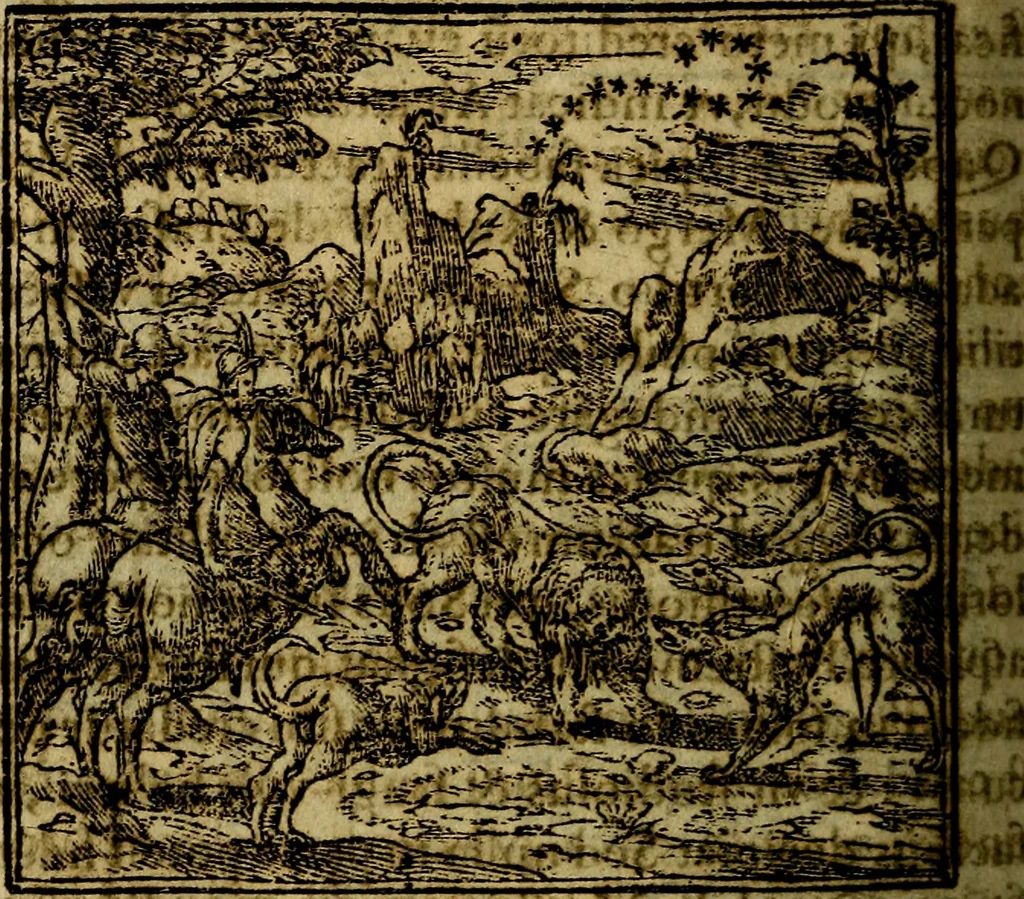 An illustration from Francisci Sanctii Brocensis .., 1573, leaf 223