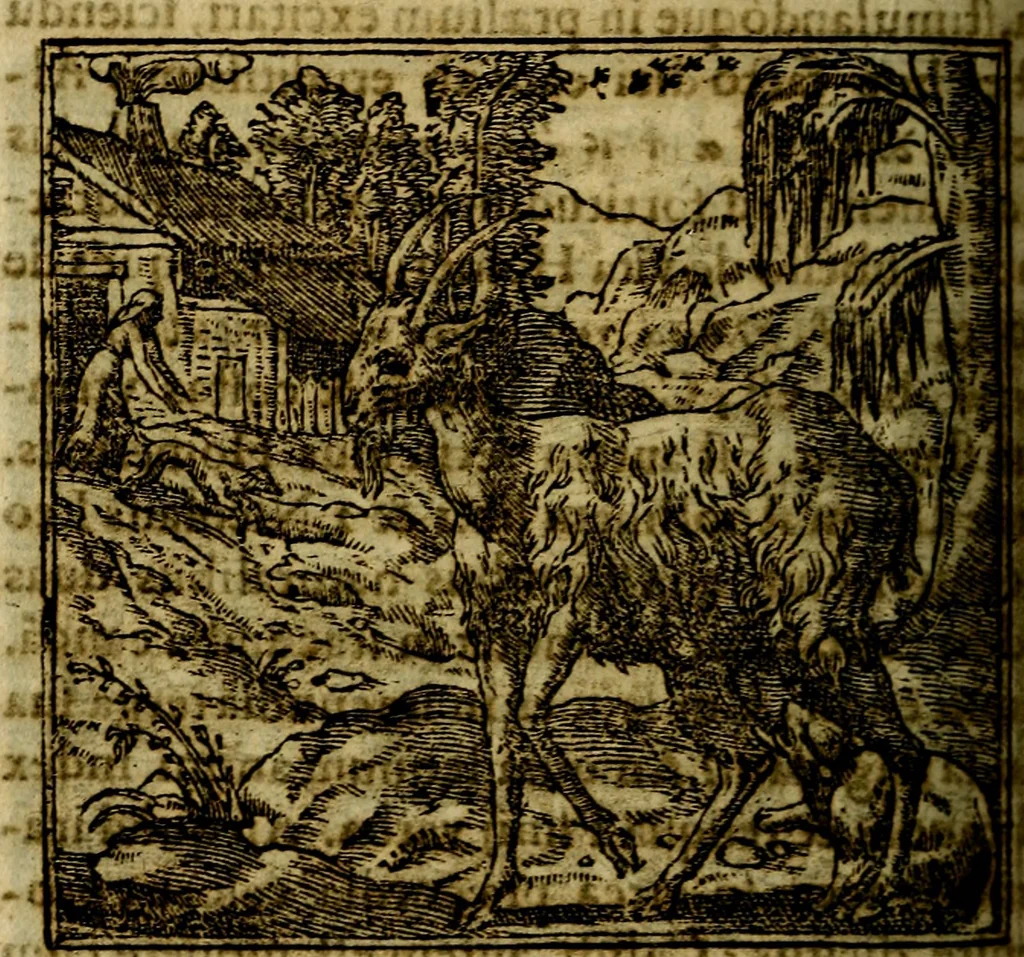 An illustration from Francisci Sanctii Brocensis .., 1573, leaf 225