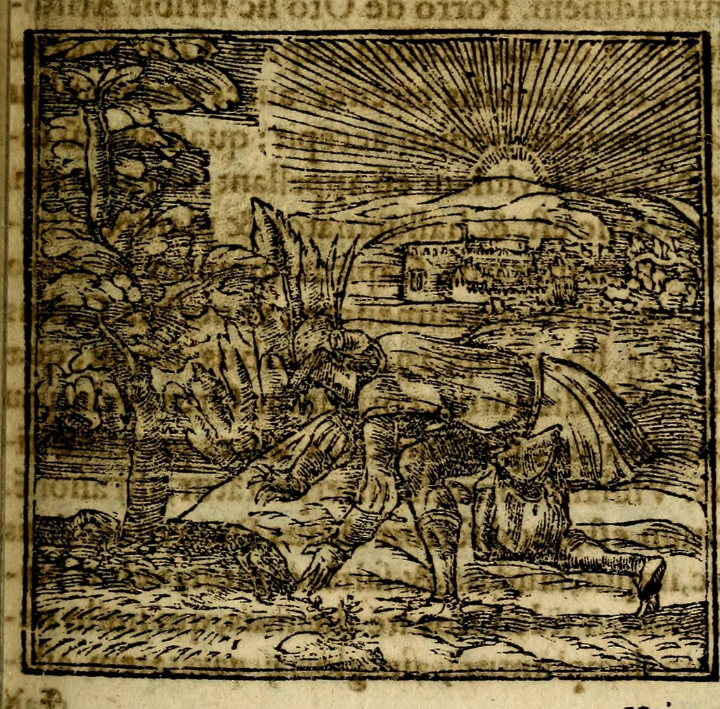 An illustration from Francisci Sanctii Brocensis .., 1573, leaf 226