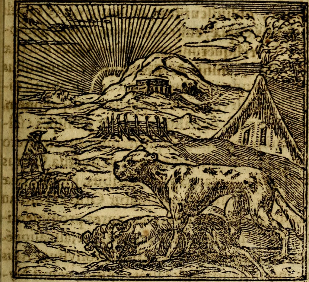 An illustration from Francisci Sanctii Brocensis .., 1573, leaf 228
