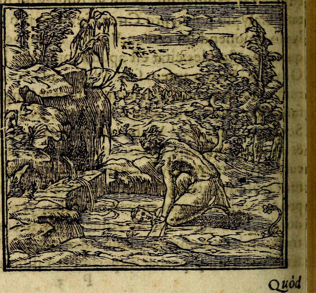 An illustration from Francisci Sanctii Brocensis .., 1573, leaf 237