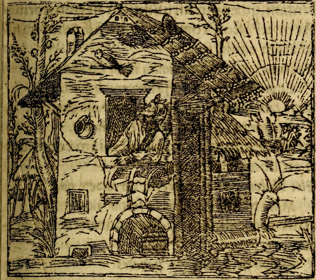 An illustration from Francisci Sanctii Brocensis .., 1573, leaf 240