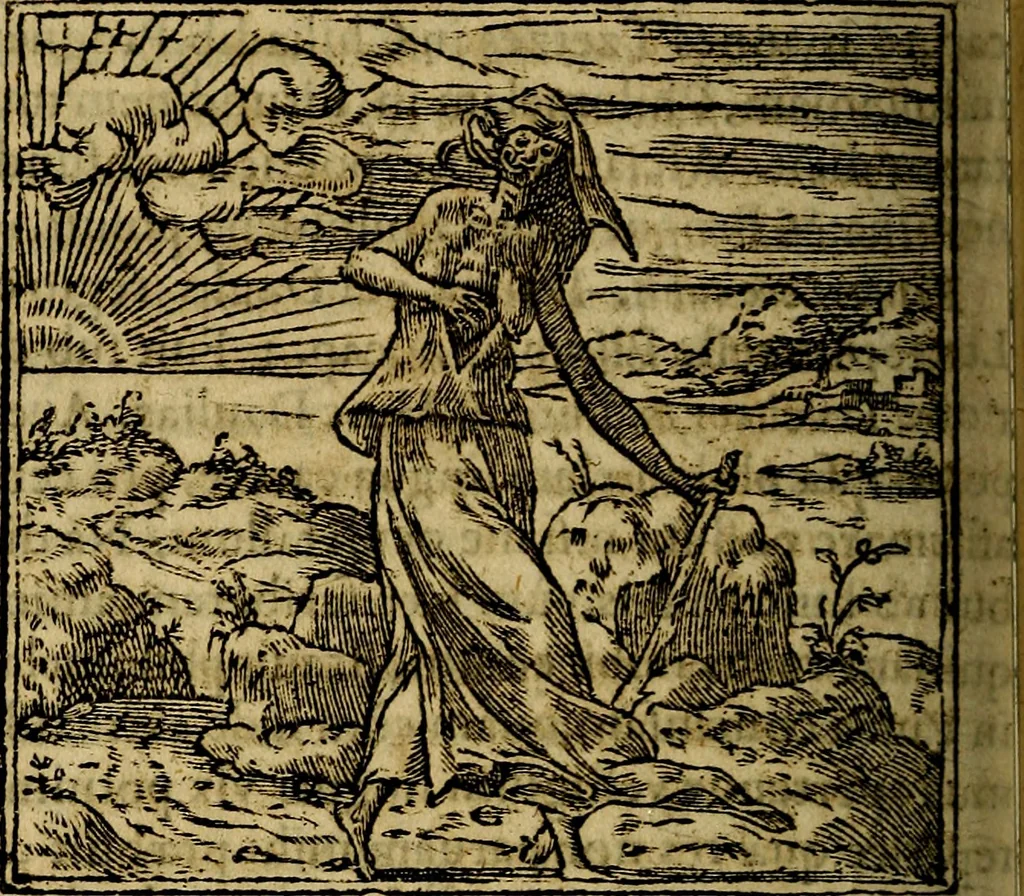 An illustration from Francisci Sanctii Brocensis .., 1573, leaf 243