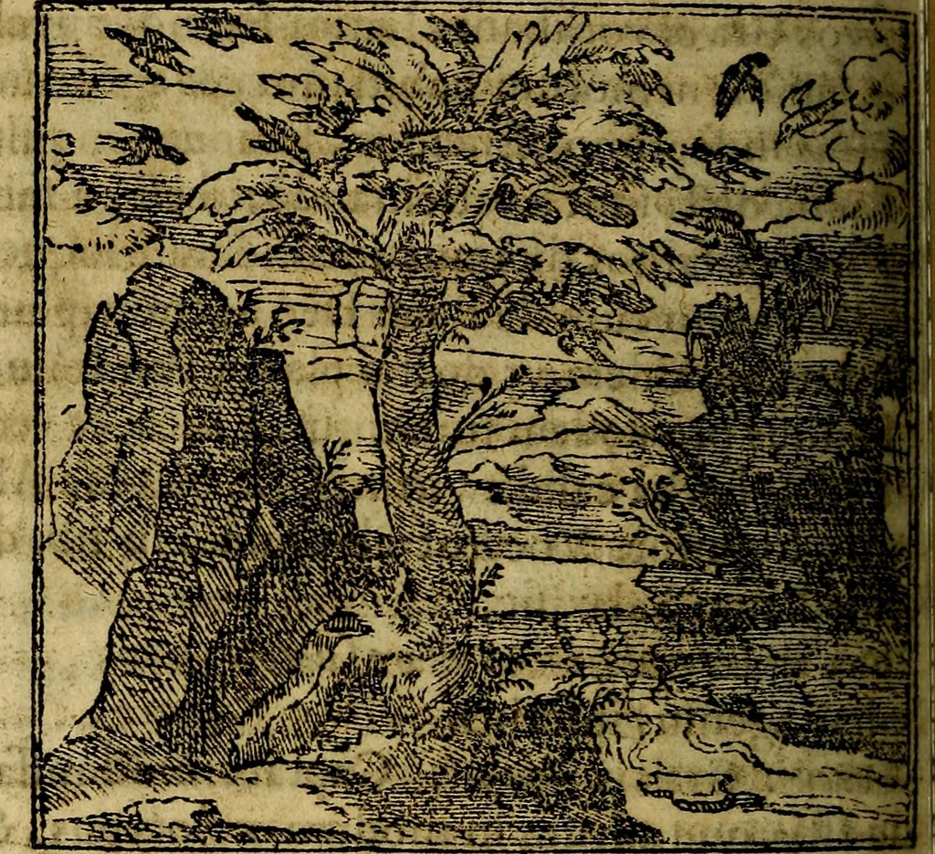 An illustration from Francisci Sanctii Brocensis .., 1573, leaf 247