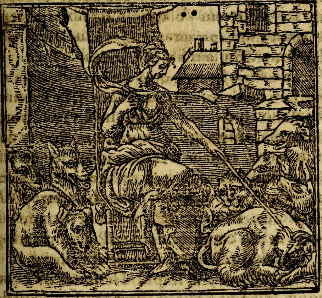 An illustration from Francisci Sanctii Brocensis .., 1573, leaf 254