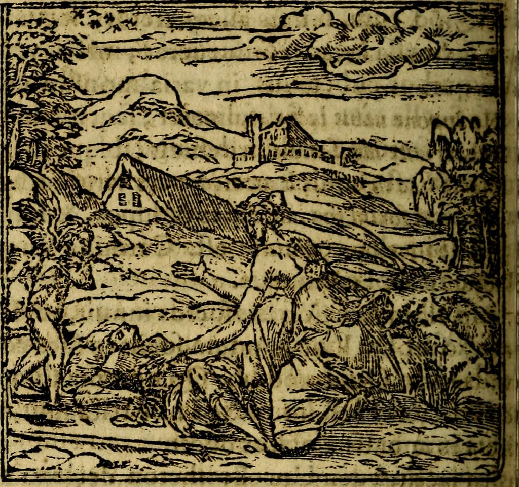 An illustration from Francisci Sanctii Brocensis .., 1573, leaf 257