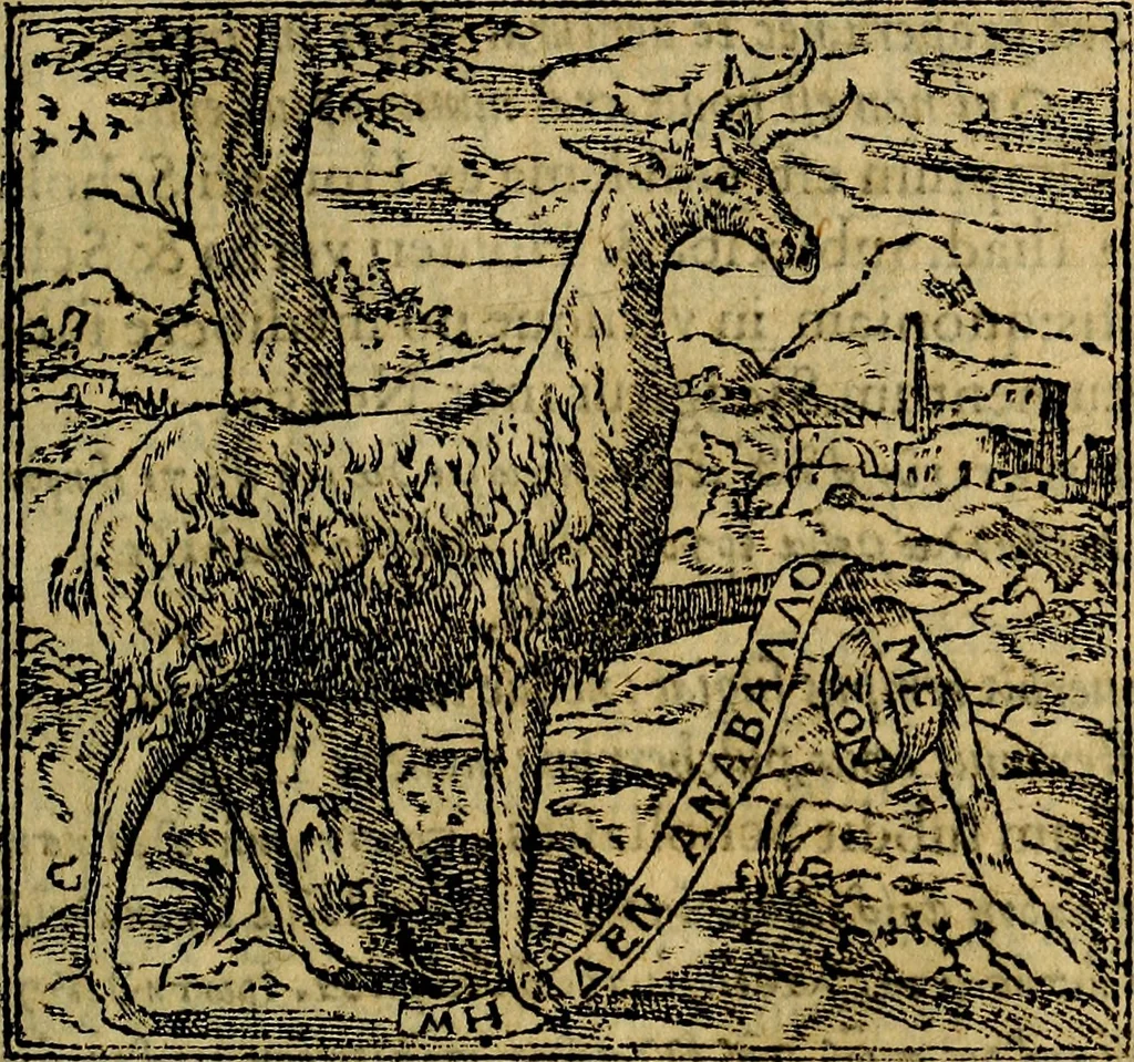 An illustration from Francisci Sanctii Brocensis .., 1573, leaf 26