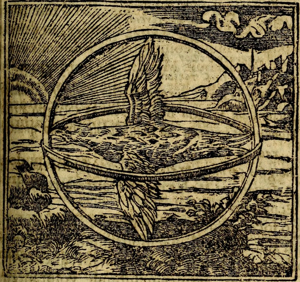 An illustration from Francisci Sanctii Brocensis .., 1573, leaf 260