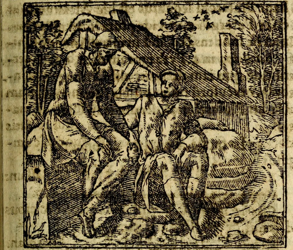 An illustration from Francisci Sanctii Brocensis .., 1573, leaf 268