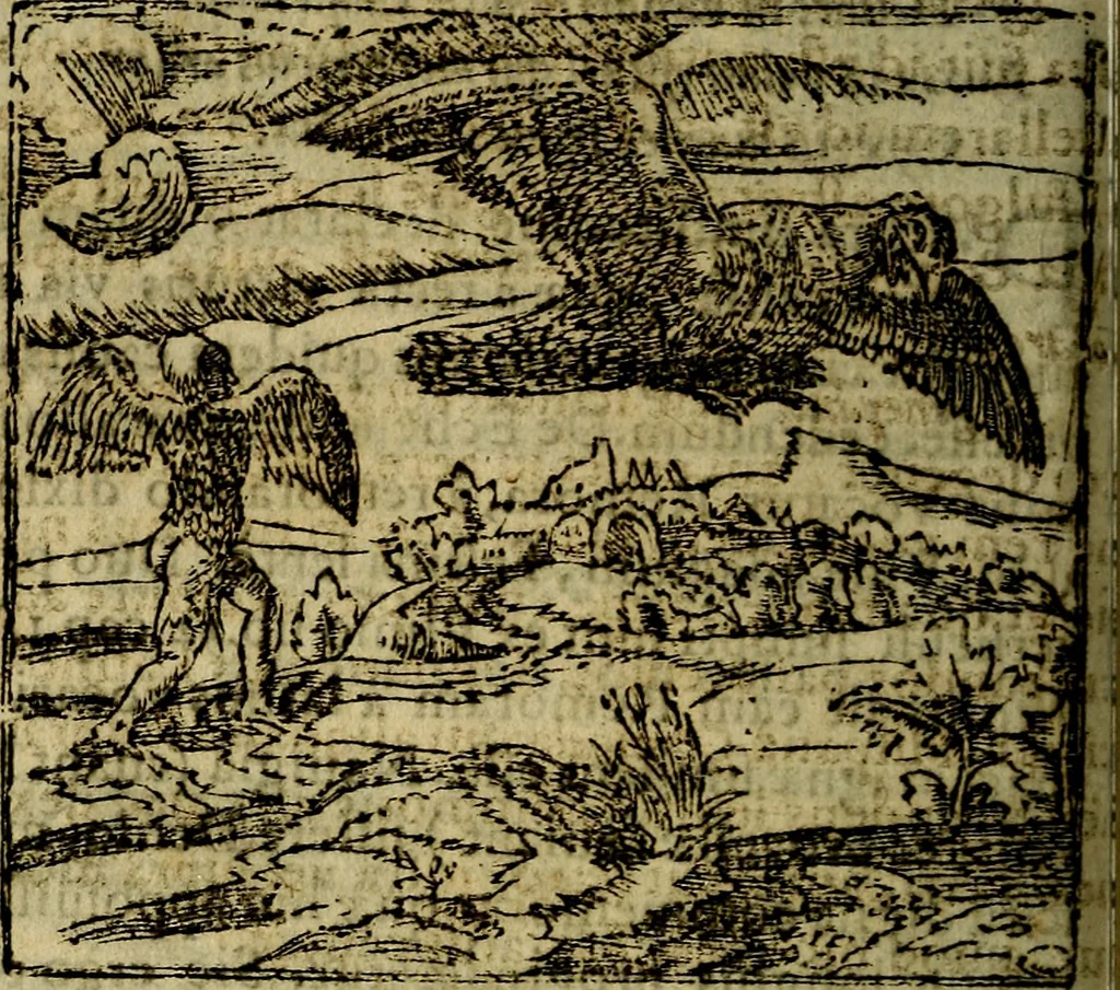 An illustration from Francisci Sanctii Brocensis .., 1573, leaf 271