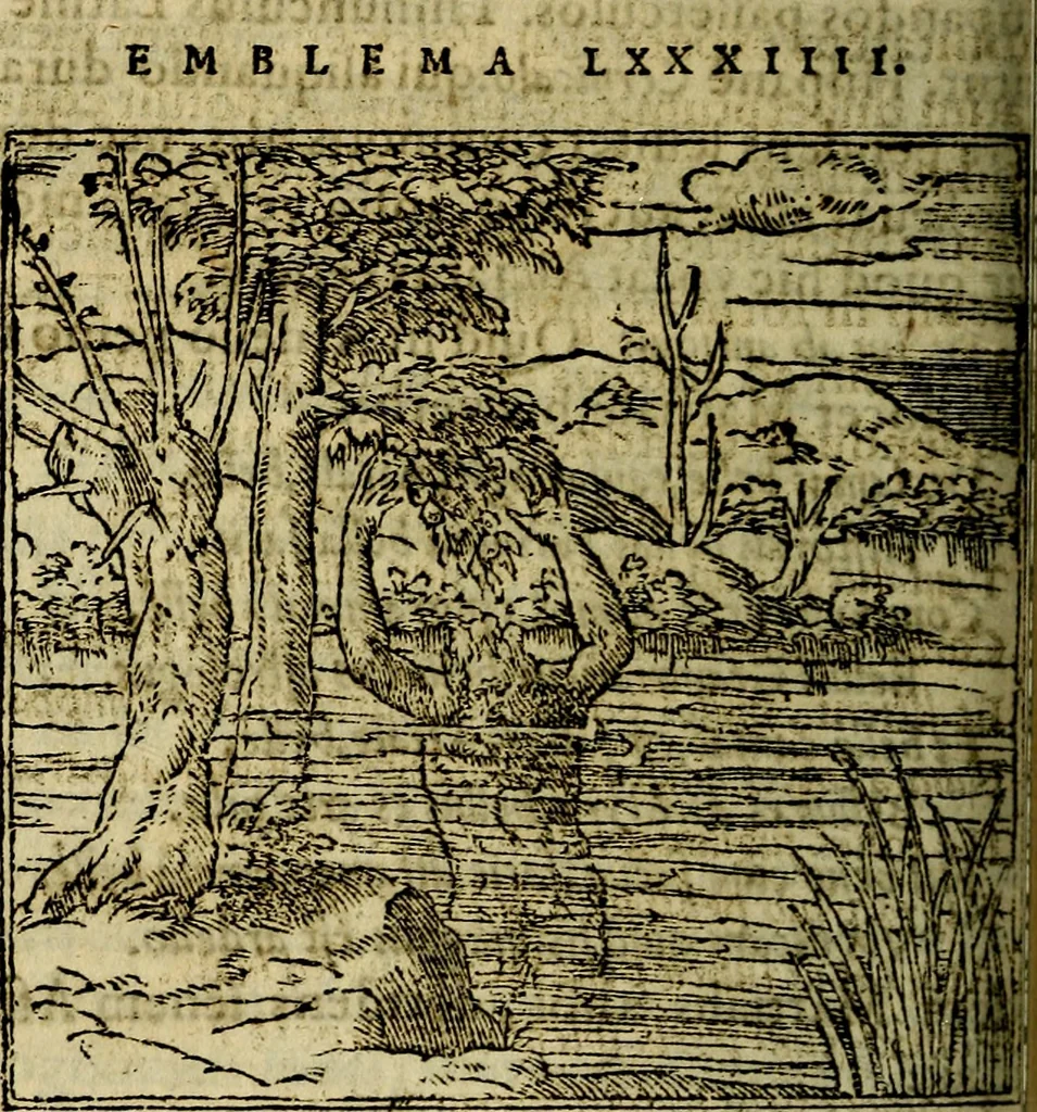 An illustration from Francisci Sanctii Brocensis .., 1573, leaf 273