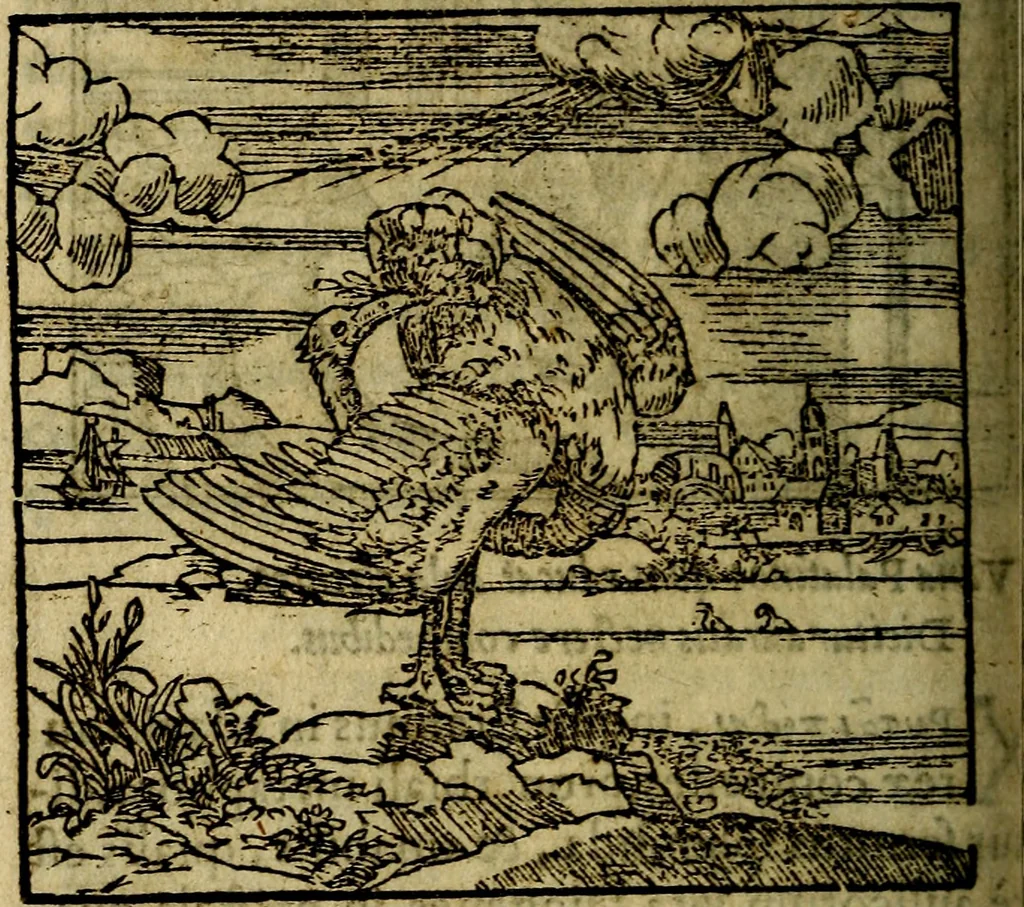 An illustration from Francisci Sanctii Brocensis .., 1573, leaf 279