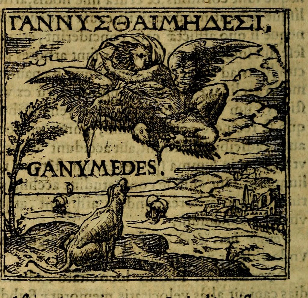 An illustration from Francisci Sanctii Brocensis .., 1573, leaf 29
