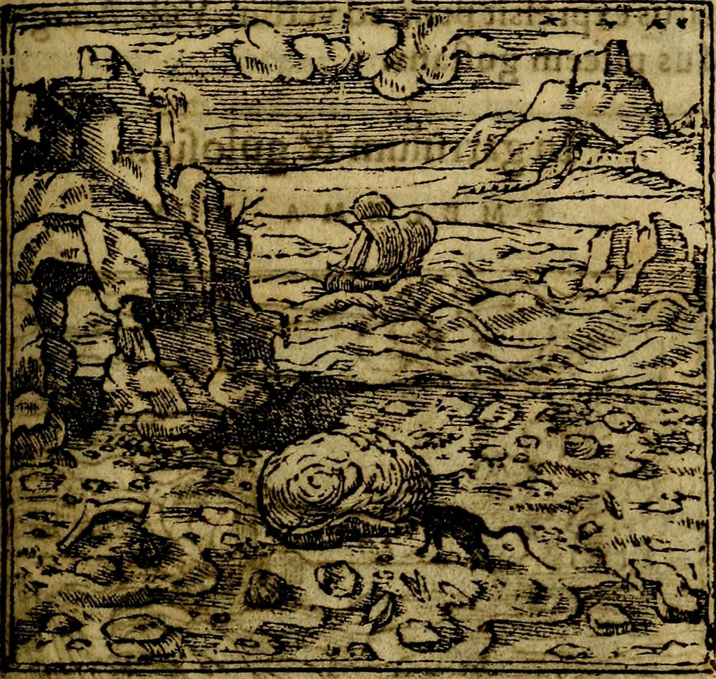 An illustration from Francisci Sanctii Brocensis .., 1573, leaf 296