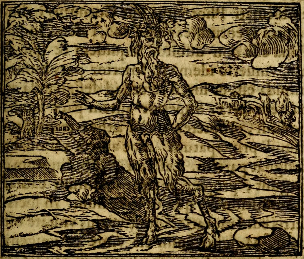 An illustration from Francisci Sanctii Brocensis .., 1573, leaf 300
