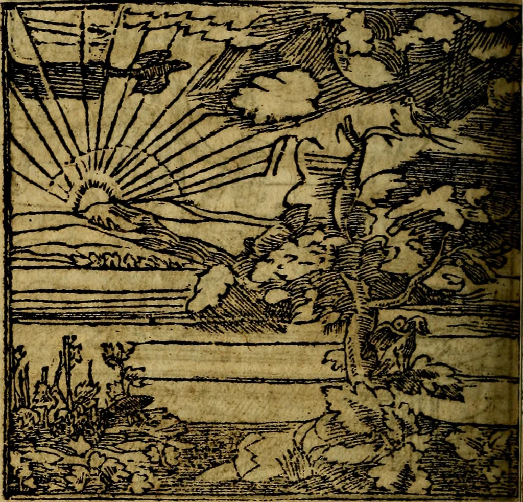 An illustration from Francisci Sanctii Brocensis .., 1573, leaf 311