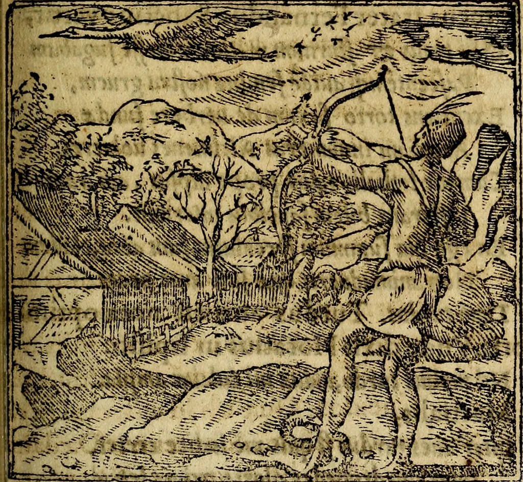 An illustration from Francisci Sanctii Brocensis .., 1573, leaf 324