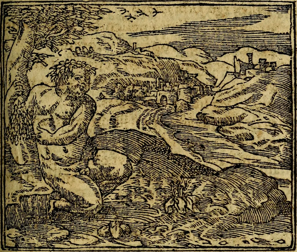 An illustration from Francisci Sanctii Brocensis .., 1573, leaf 334