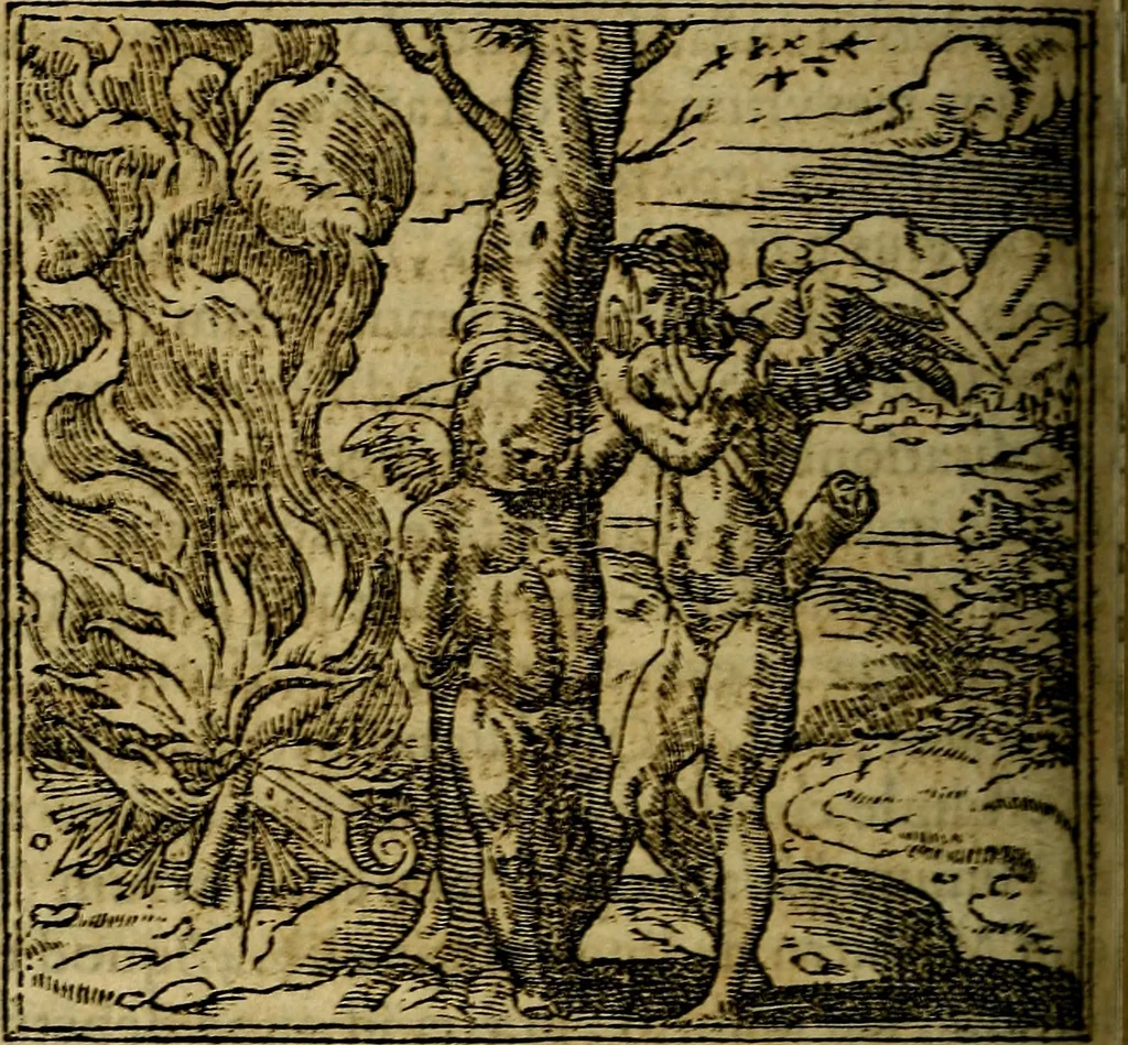 An illustration from Francisci Sanctii Brocensis .., 1573, leaf 337