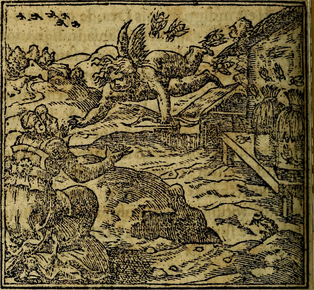 An illustration from Francisci Sanctii Brocensis .., 1573, leaf 339