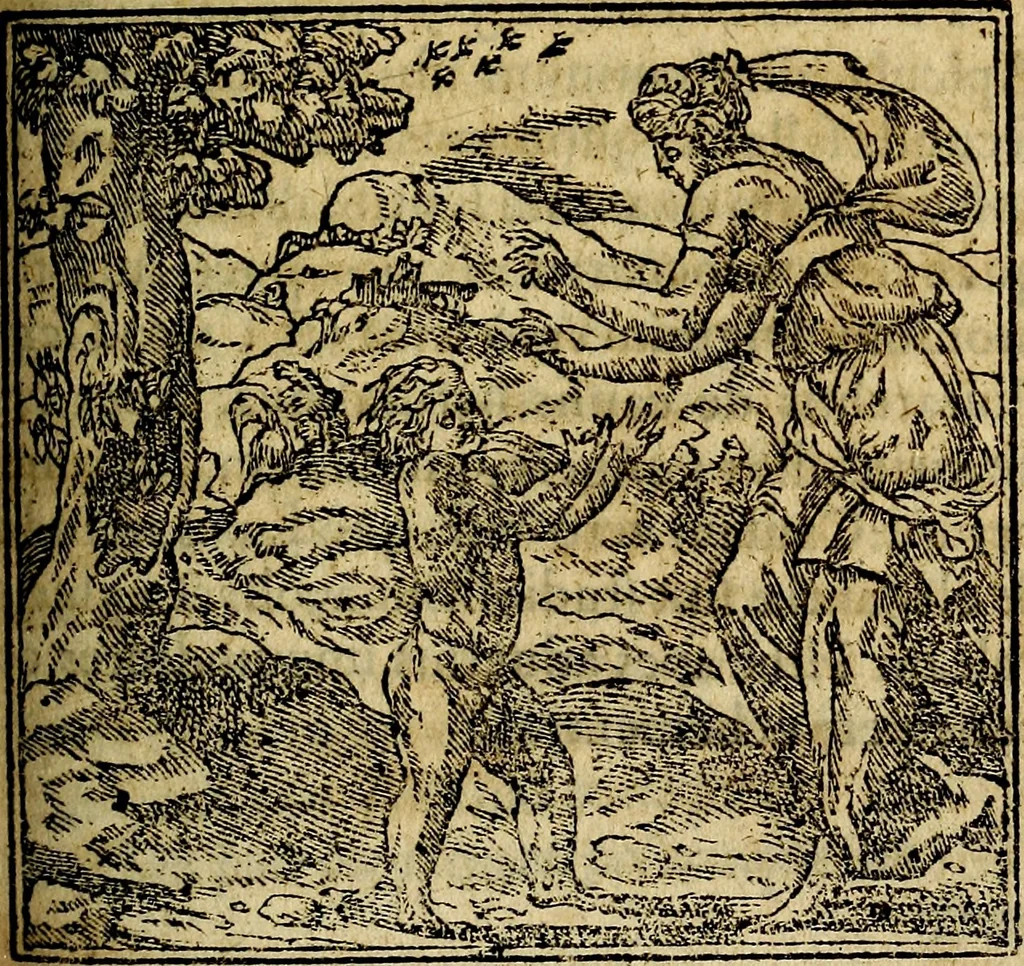 An illustration from Francisci Sanctii Brocensis .., 1573, leaf 340