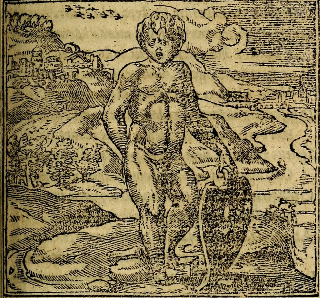 An illustration from Francisci Sanctii Brocensis .., 1573, leaf 342