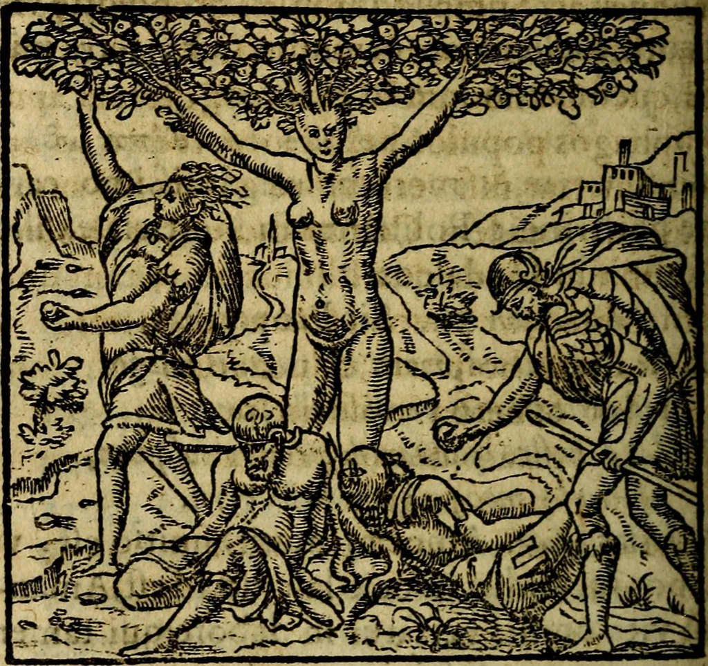 An illustration from Francisci Sanctii Brocensis .., 1573, leaf 347