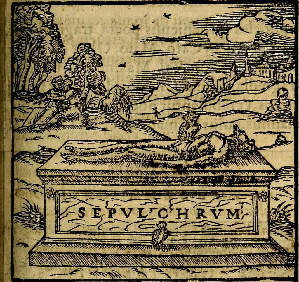 An illustration from Francisci Sanctii Brocensis .., 1573, leaf 354