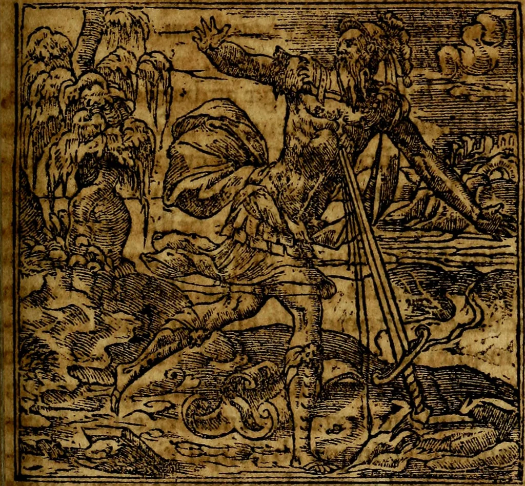 An illustration from Francisci Sanctii Brocensis .., 1573, leaf 362