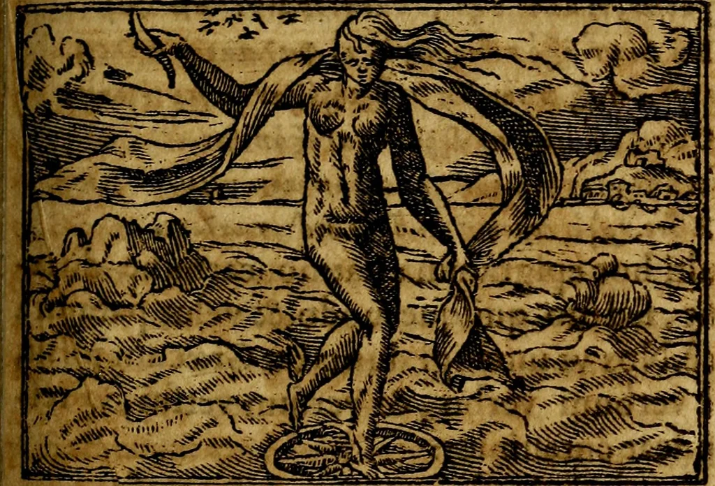 An illustration from Francisci Sanctii Brocensis .., 1573, leaf 366
